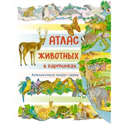 Атлас животных в картинках. Путешествие вокруг света. Барсотти Э.