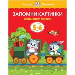 Запомни картинки (5-6 лет) (нов.обл.). Земцова О.Н.