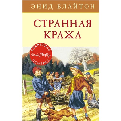 Странная кража. Блайтон Э.