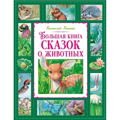 Большая книга сказок о животных. Бианки В.