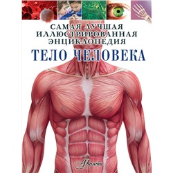 Тело человека. Гибберт К.