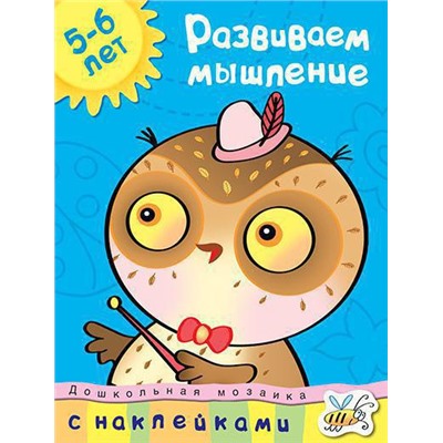 Развиваем мышление (5-6 лет). Земцова О.Н.