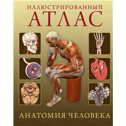 Иллюстрированный атлас. Анатомия человека. Роубак Д.