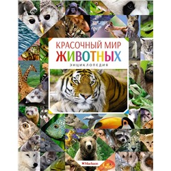 Красочный мир животных. Энциклопедия. Балле К.