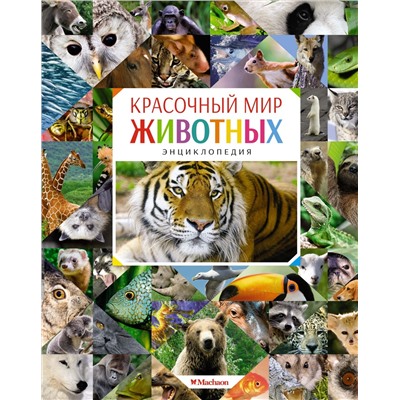 Красочный мир животных. Энциклопедия. Балле К.