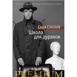 Школа для дураков. Соколов С.