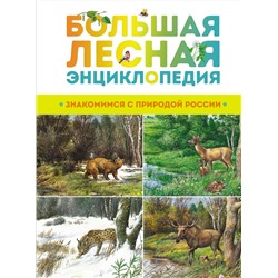 Большая лесная энциклопедия. Знакомимся с природой России. Тихонов А.