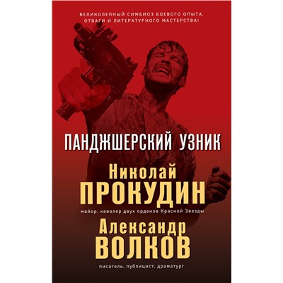 Панджшерский узник. Прокудин Н.Н., Волков А.И.