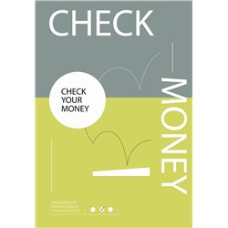 Check your money. Ежедневник финансовой грамотности. .