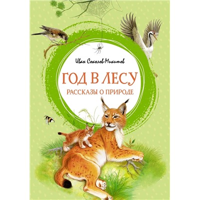 Год в лесу. Рассказы о природе. Соколов-Микитов И.